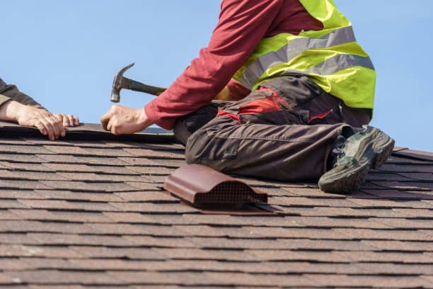 Best Affordable Roof Replacement  in Shenandoah, VA