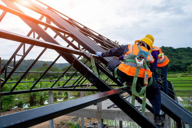 Best Gutter Installation and Roofing  in Shenandoah, VA