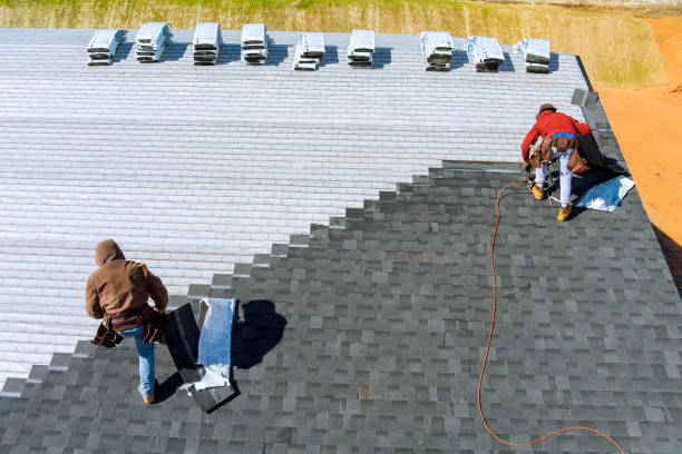 Best Storm Damage Roof Repair  in Shenandoah, VA