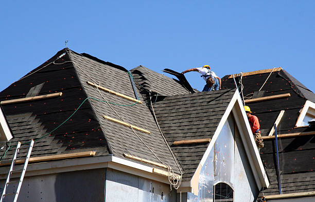 Best Metal Roofing Contractor  in Shenandoah, VA