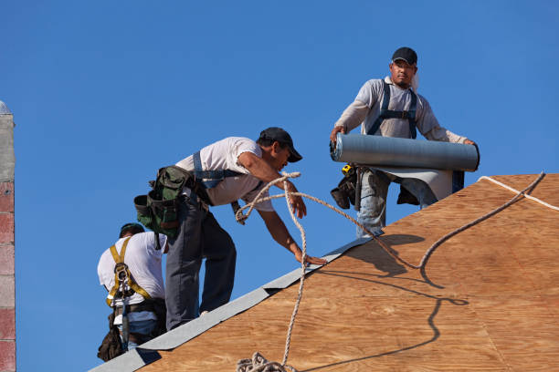 Best Local Roofing Companies  in Shenandoah, VA
