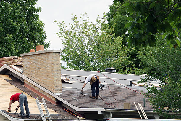 Best Roof Repair Services  in Shenandoah, VA