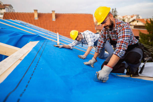 Best New Roof Installation  in Shenandoah, VA