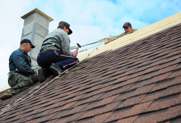 Best Storm Damage Roof Repair  in Shenandoah, VA