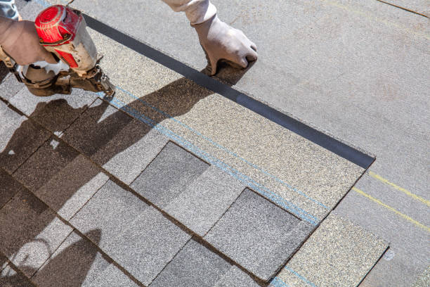 Best Roof Maintenance Services  in Shenandoah, VA