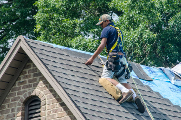 Best Commercial Roofing Services  in Shenandoah, VA